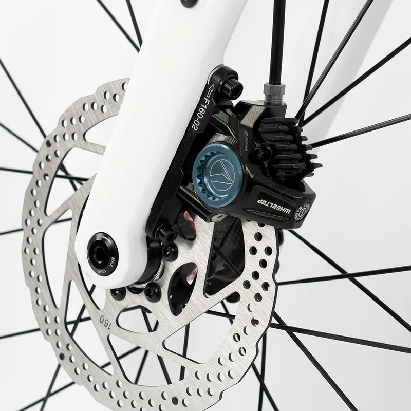 Sepeda Jalan Raya Serat Karbon - Cycling Gear Gravel ulasan dan harga